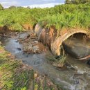 수관농장 이미지