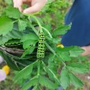 예찬농장 이미지