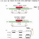 RFLP ㄱㅊㅇ 필기노트 이미지