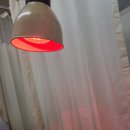 이응주정형외과의원 | 엄지손가락 손목 부상 통증, 파라핀 치료 후기