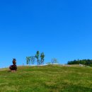 대건목장 이미지