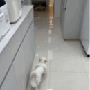 온새동물의료센터 이미지