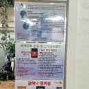 쉬크샵헤어 이미지