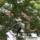 화영산소 이미지