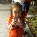 쵸코파이민박 이미지