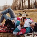 땡칠아놀자 이미지