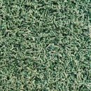 소흘읍생활체육공원 이미지