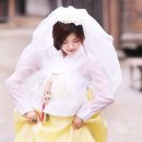 보니또헤어 이미지
