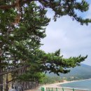 금장해수욕장 Daum카페
