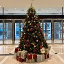 합포로 | 마산 신세계백화점 어그 타스만(UGG Tasman) 언박싱｜내돈내산 겨울아이템 솔직 후기