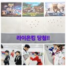 한국체대 최강태권도장 이미지