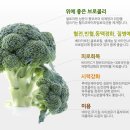 모단농장 이미지