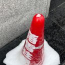 도덕떡방앗간 - 고흥군 달맞이길 5 | 삿포로 Day 3. 눈이 억수로 많이오던 삿포로대공원