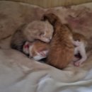 예사랑민박 이미지