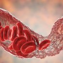 MUSCLE UP STORY 이미지