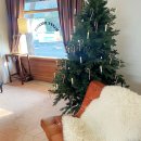 고대정형외과의원 이미지