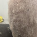 멈머링(mummuring) 이미지