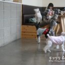 아로담 이미지