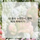 든든한방병원 네이버블로그