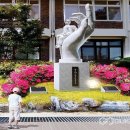 강서초등학교 이미지