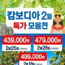 지니여행사