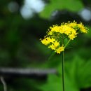 삼일목장 이미지