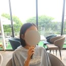 착한염색&착한가발 | 💇‍♀️여름 단발 자르기 전에 꼭 보세요 ㅣ 머리카락 기부 어머나운동 두 번째 후기