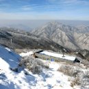 가지산 - 중구 | 가지산