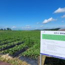 이종태농장 이미지