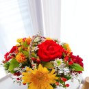 오산초등학교병설유치원 이미지