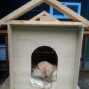 하늘아래 첫동네 꿩밭 이미지