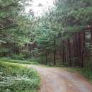 비슬산둘레길 4구간 이미지