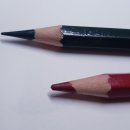 색연필 보타니컬 아트 이미지