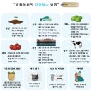 [더블유워터(주)] WWATER AMIGO WATER SYSTEM 자화활수기 설치 현장 in 경주