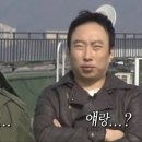 에펠코리아 | [유럽 신혼여행] 코리아투어vs투어민vs팜투어 비교