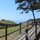 구름포해수욕장 이미지