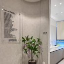 다시내보 이미지