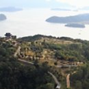 통영터널로가로수 이미지