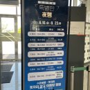 가온호수유치원 | 세종 실내 가볼만한곳 국립세종수목원 야간개장 추석연휴 무료 입장료 식당 데이트 드라이브