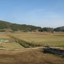 회진면사무소 이미지