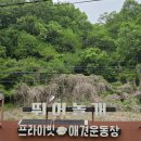 24시무인카페 만월경가능역점 | 양평 애견 운동장 뛰어놀개 후기 프라이빗 애견 카페 추천(이용안내 및 주차)