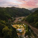 자유인의 카라반 이미지