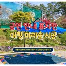 안양초등학교1 이미지