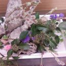 동양꽃꽂이 이미지