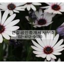 웃음공인중개사사무소 이미지