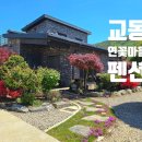 교동 연꽃마을 펜션 | 꽃이 만개한 교동연꽃마을펜션 #강화교동펜션