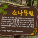 뿌리깊은수목원 네이버블로그