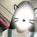 로로월드 - 김포시 김포한강10로133번길 107 | 로로월드