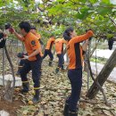 영동소방서 학산119안전센터 이미지