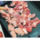 오천성모의원 | 20대 화이자 2차 접종 후기 : 고기 많이, 잠 많이